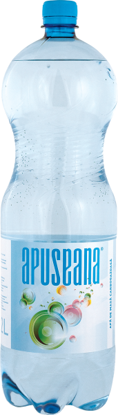Apuseana 2009