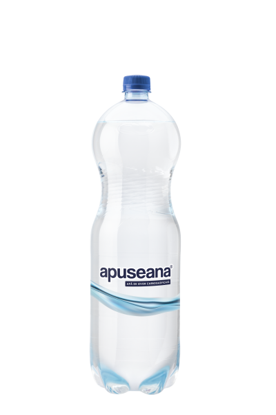 Apuseana 2023